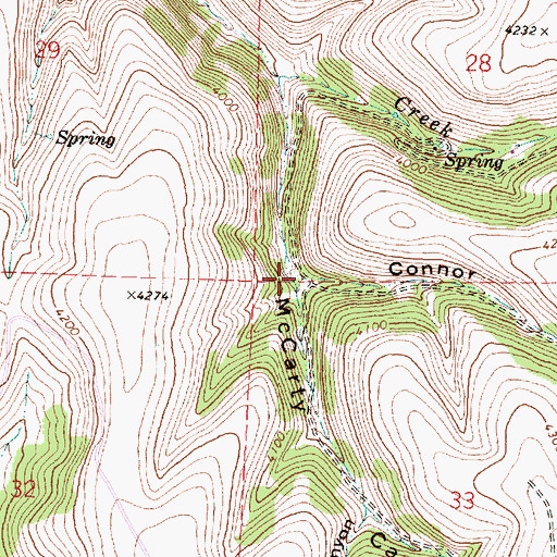 Topographic Map of Connor Canyon, OR