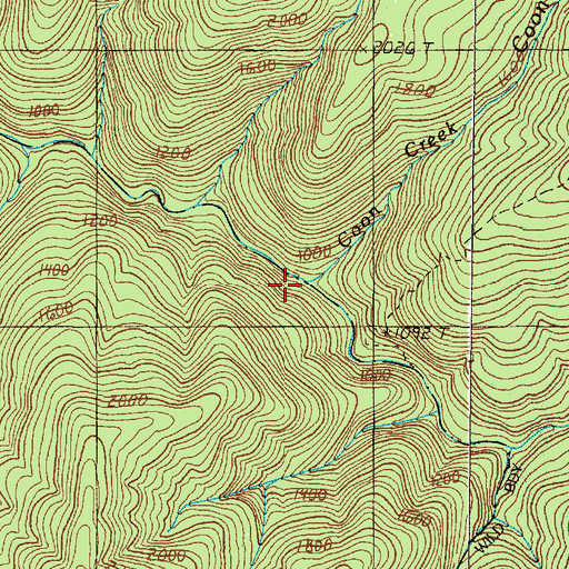 Topographic Map of Coon Creek, OR