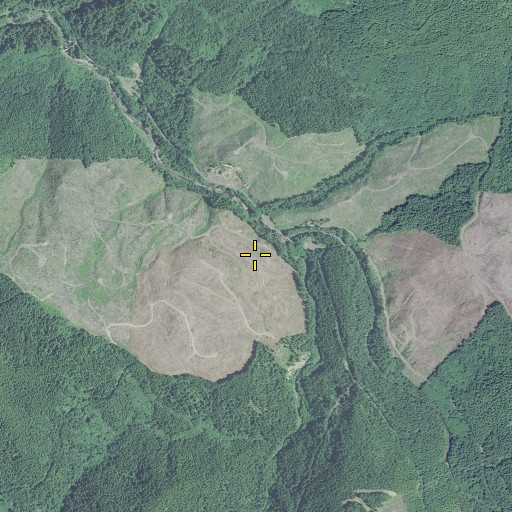 Aerial/Satellite Image of Copper Creek, OR