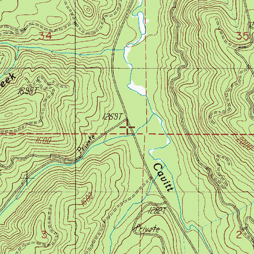 Topographic Map of Copperhead Creek, OR