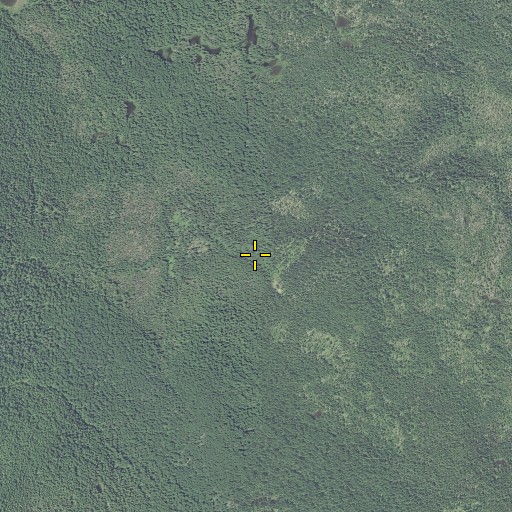 Aerial/Satellite Image of Corral Flat, OR