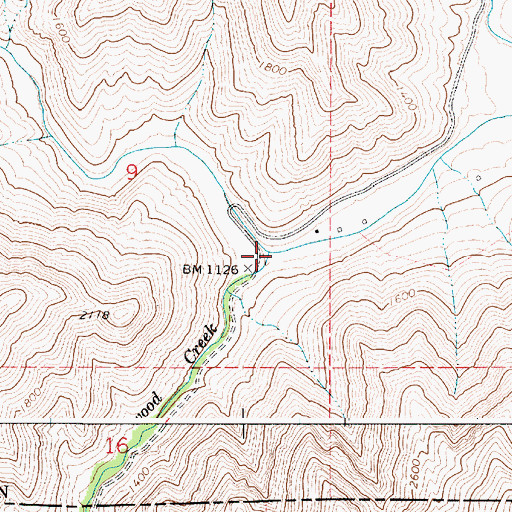 Topographic Map of Cottonwood Creek, WA
