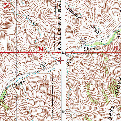 Topographic Map of Cottonwood Creek, OR