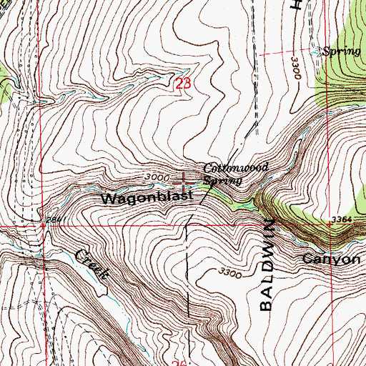 Topographic Map of Cottonwood Spring, OR