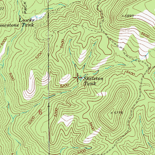Topographic Map of Skeleton Tank, AZ