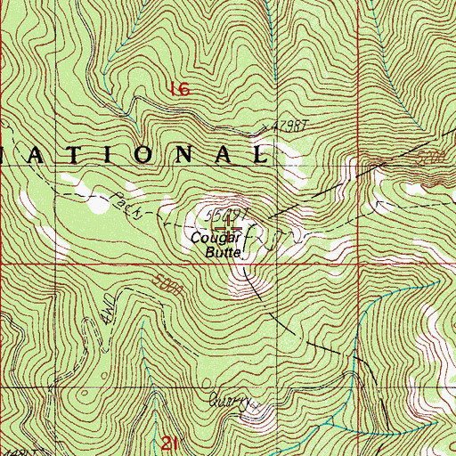 Topographic Map of Cougar Butte, OR