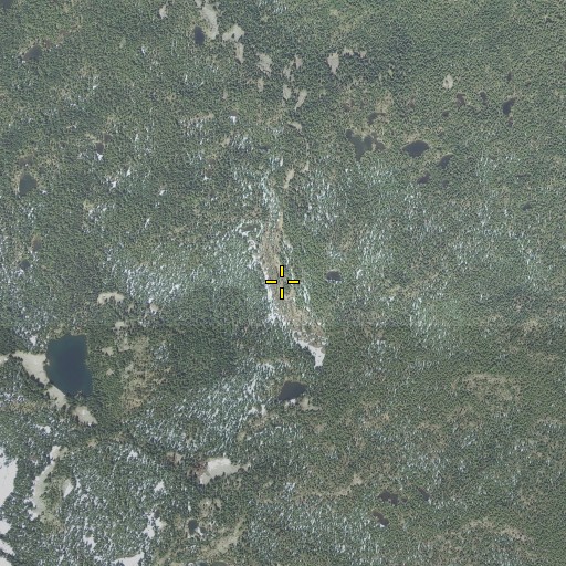 Aerial/Satellite Image of Cougar Flat, OR