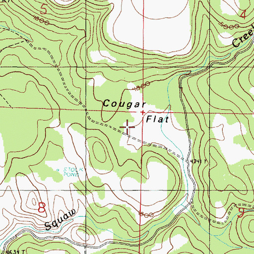 Topographic Map of Cougar Flat, OR