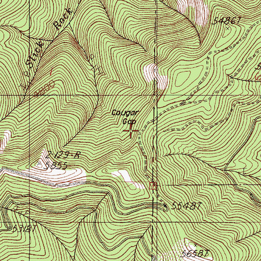 Topographic Map of Cougar Gap, OR