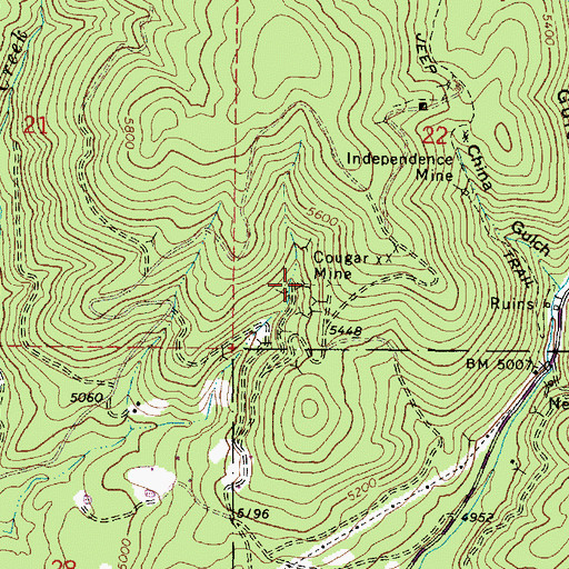 Topographic Map of Cougar Mine, OR