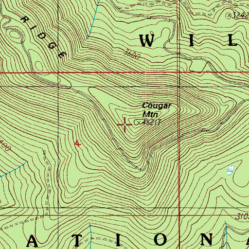 Topographic Map of Cougar Mountain, OR
