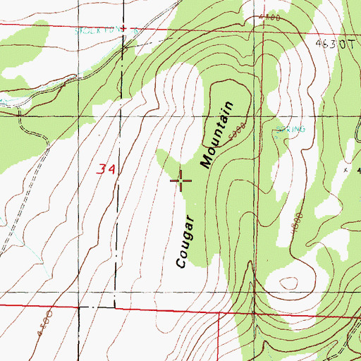 Topographic Map of Cougar Mountain, OR