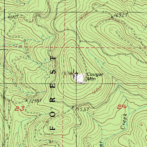 Topographic Map of Cougar Mountain, OR