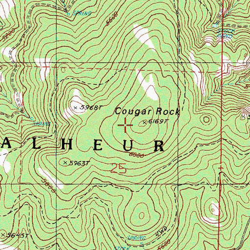 Topographic Map of Cougar Rock, OR