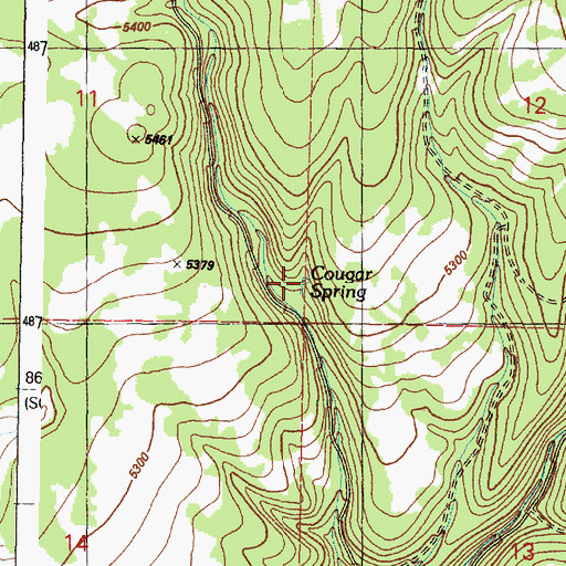 Topographic Map of Cougar Spring, OR