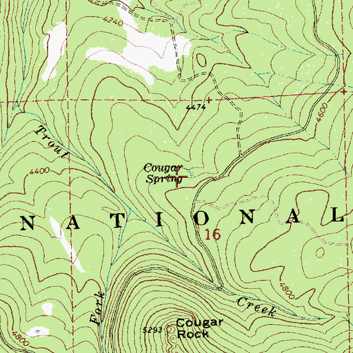 Topographic Map of Cougar Spring, OR