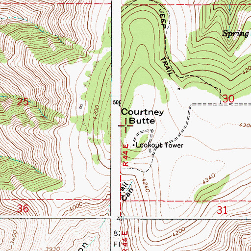 Topographic Map of Courtney Butte, OR
