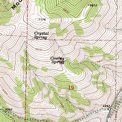 Topographic Map of Cowboy Spring, OR