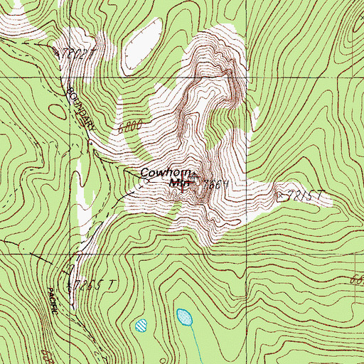 Topographic Map of Cowhorn Mountain, OR