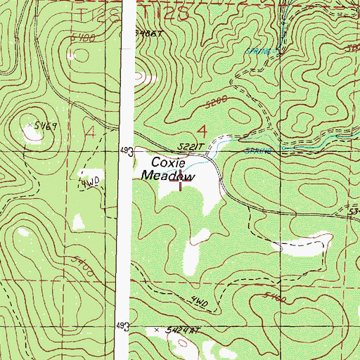 Topographic Map of Coxie Meadow, OR