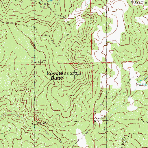 Topographic Map of Coyote Butte, OR