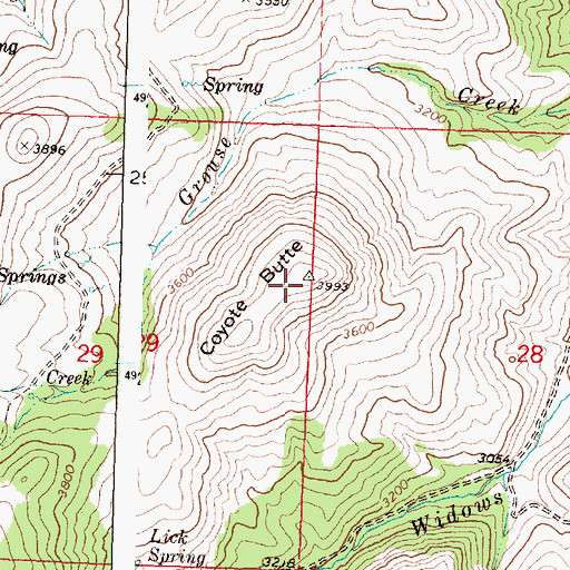 Topographic Map of Coyote Butte, OR