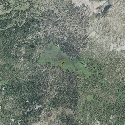 Aerial/Satellite Image of Crawfish Meadow, OR