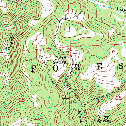 Topographic Map of Crazy Spring, OR