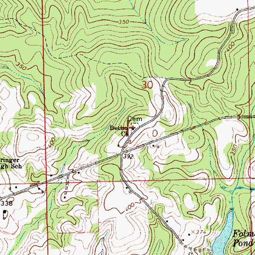 Topographic Map of Bethel Church, AL