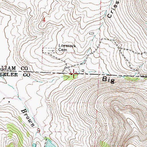 Topographic Map of Crishook Canyon, OR