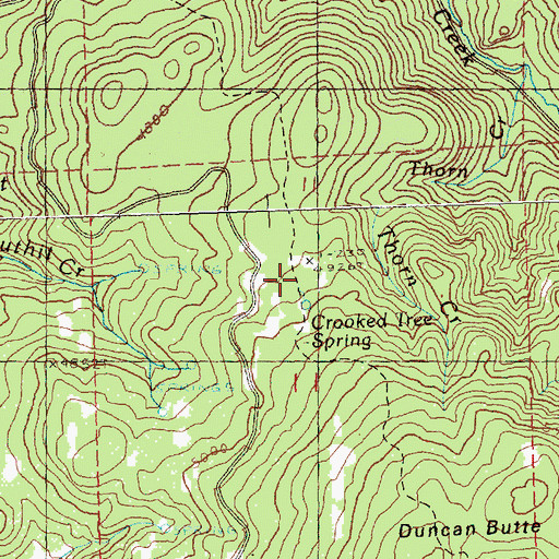 Topographic Map of Crooked Tree Spring, OR