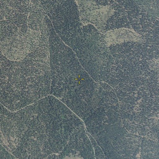 Aerial/Satellite Image of Cruiser Spring, OR