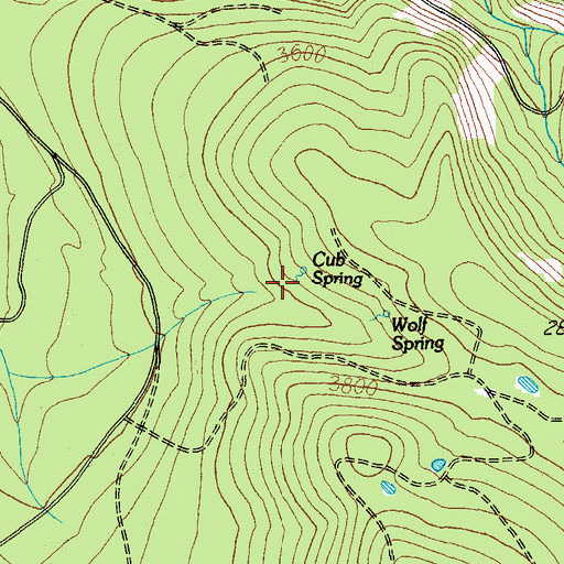 Topographic Map of Cub Spring, OR