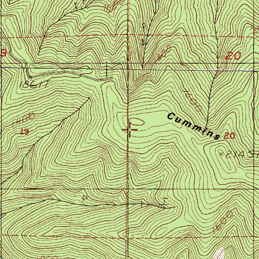 Topographic Map of Cummins Ridge, OR