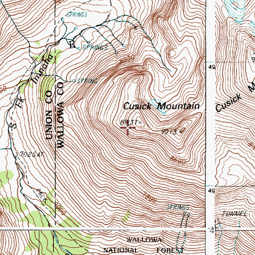 Topographic Map of Cusick Mountain, OR