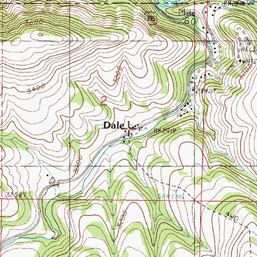 Topographic Map of Dale, OR