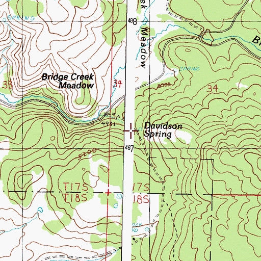 Topographic Map of Davidson Spring, OR