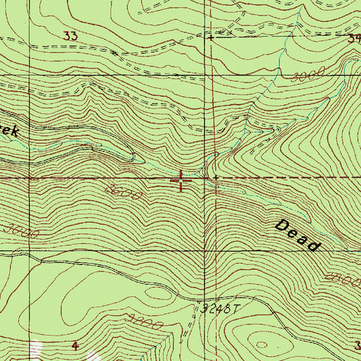 Topographic Map of Dead Horse Canyon, OR