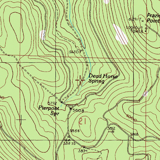 Topographic Map of Dead Horse Spring, OR