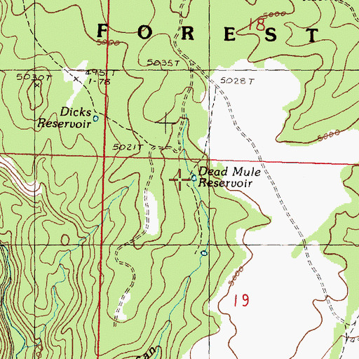 Topographic Map of Dead Mule Reservoir, OR