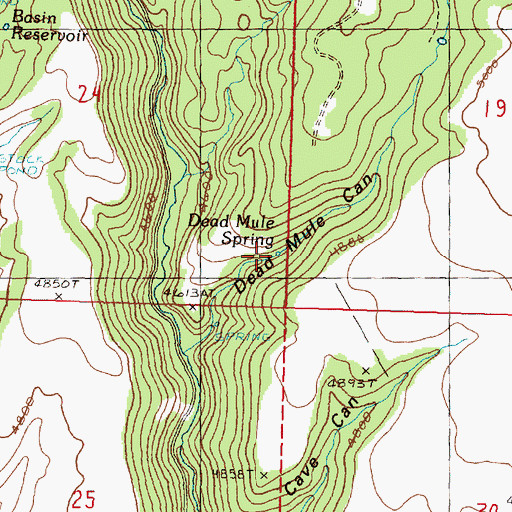 Topographic Map of Dead Mule Spring, OR