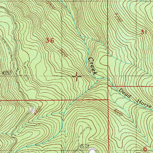 Topographic Map of Deadhorse Creek, OR