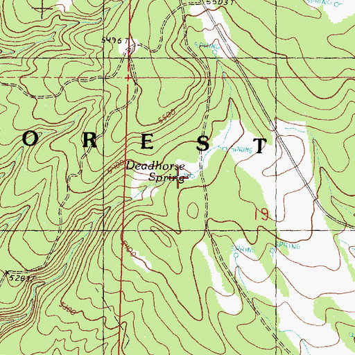 Topographic Map of Deadhorse Spring, OR
