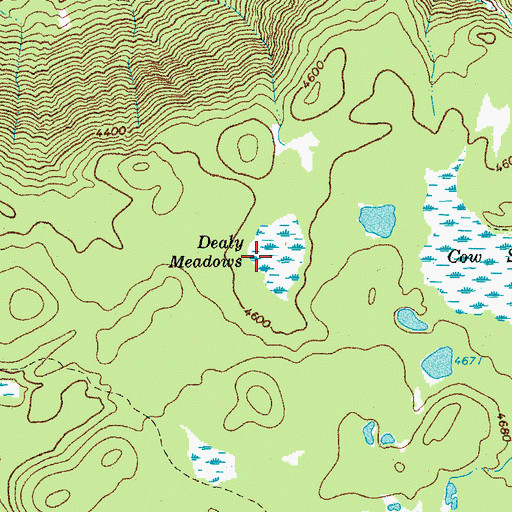 Topographic Map of Dealy Meadows, OR