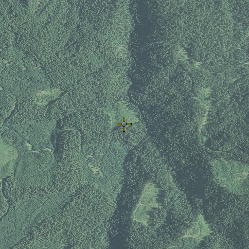 Aerial/Satellite Image of Deception Way, OR
