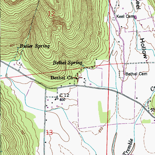 Topographic Map of Bethel Church, AL