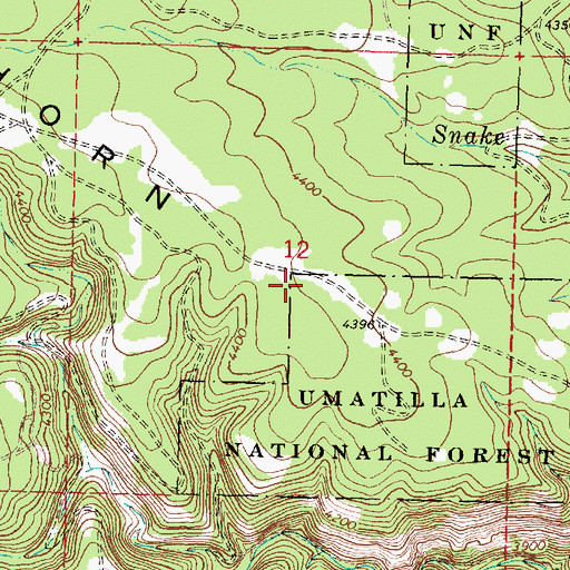 Topographic Map of Deerhorn Ridge, OR