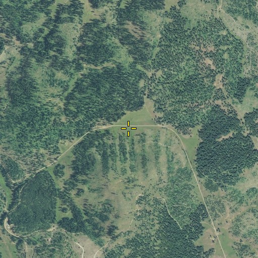 Aerial/Satellite Image of Deerings Meadow, OR