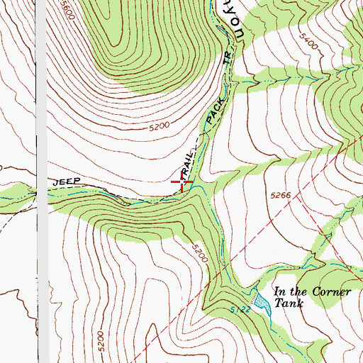 Topographic Map of Skunk Canyon, AZ