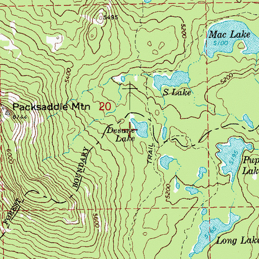 Topographic Map of Desane Lake, OR